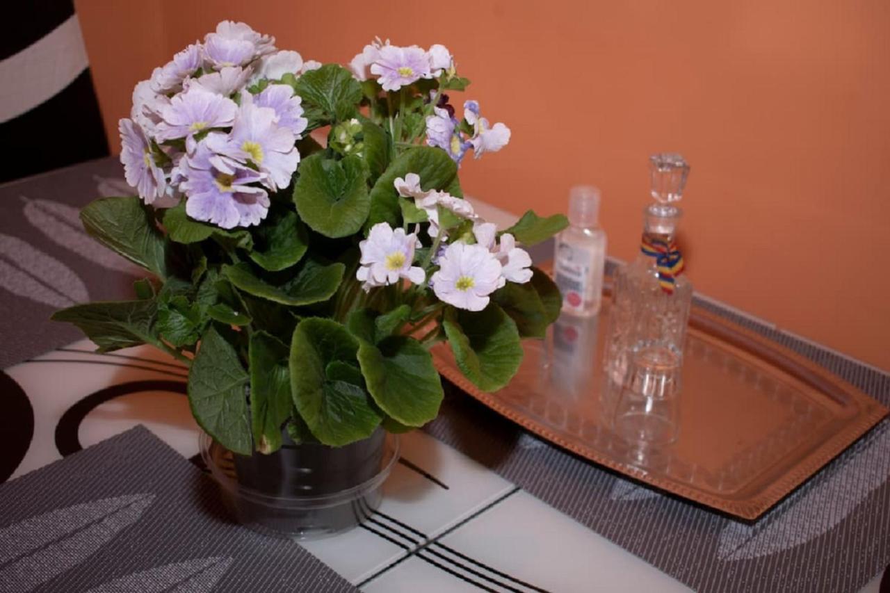Central Apartment Maria Sibiu Exterior photo